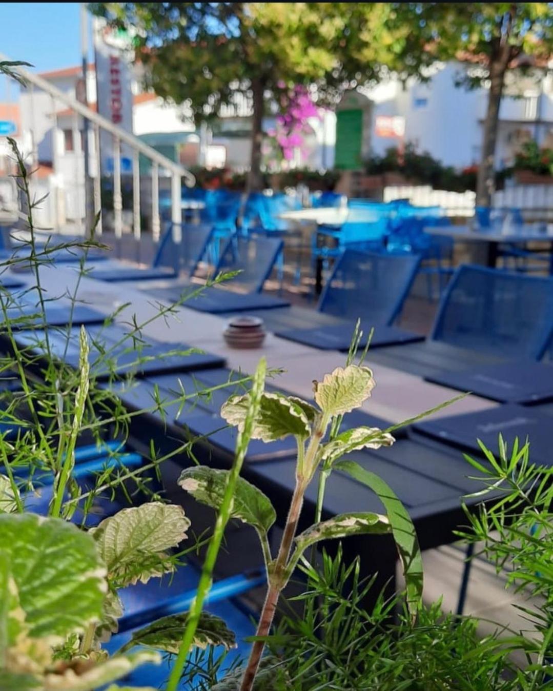 Apartments Ars Vivendi Trogir Exterior photo